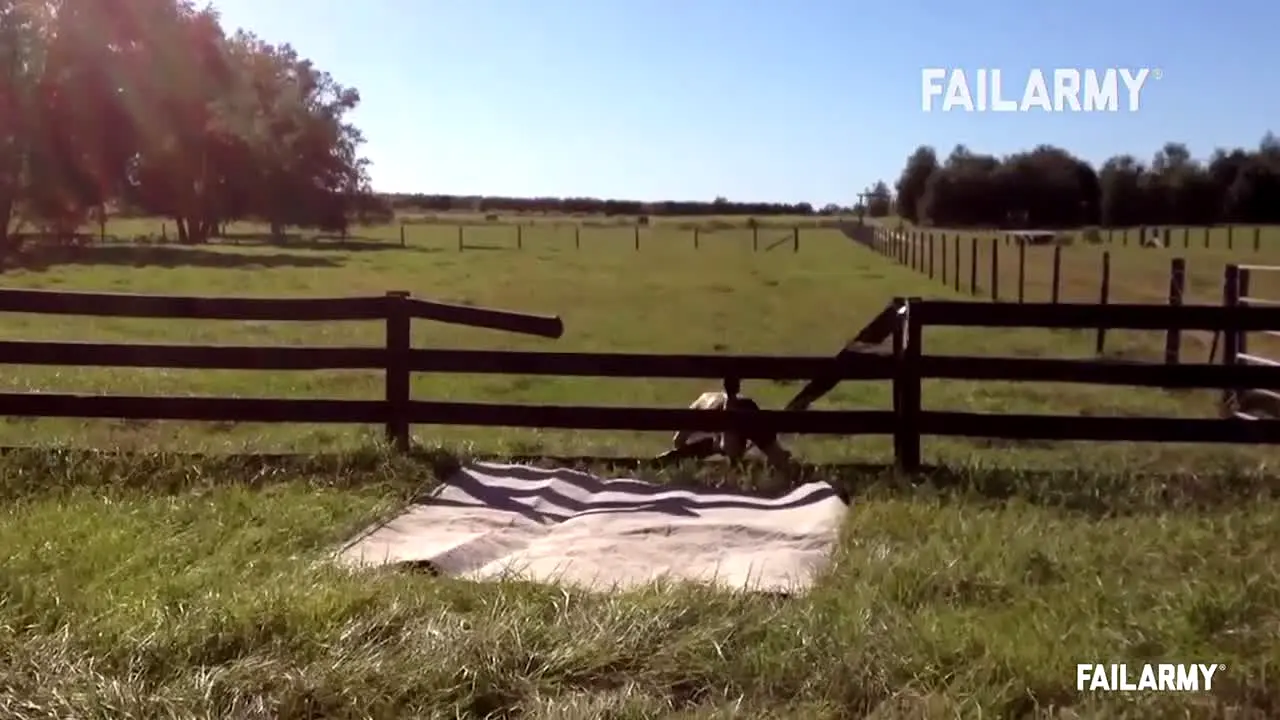 FailArmy live