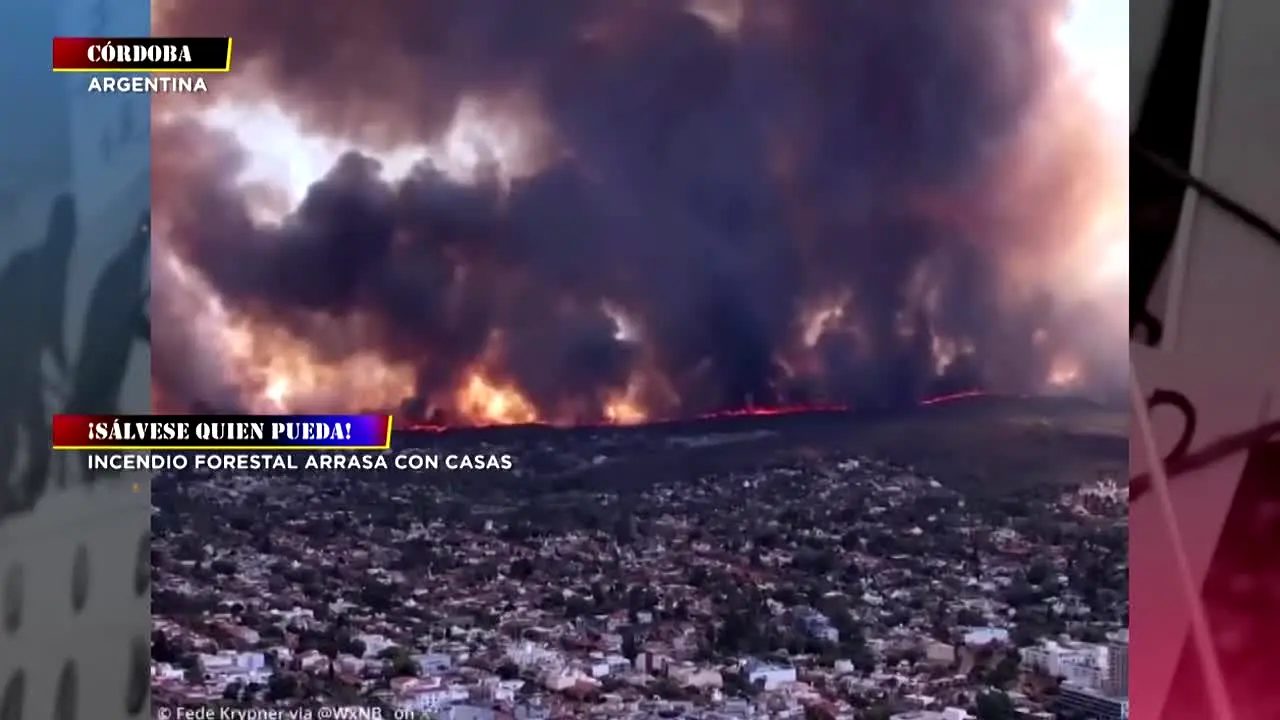 C4 en Alerta na żywo