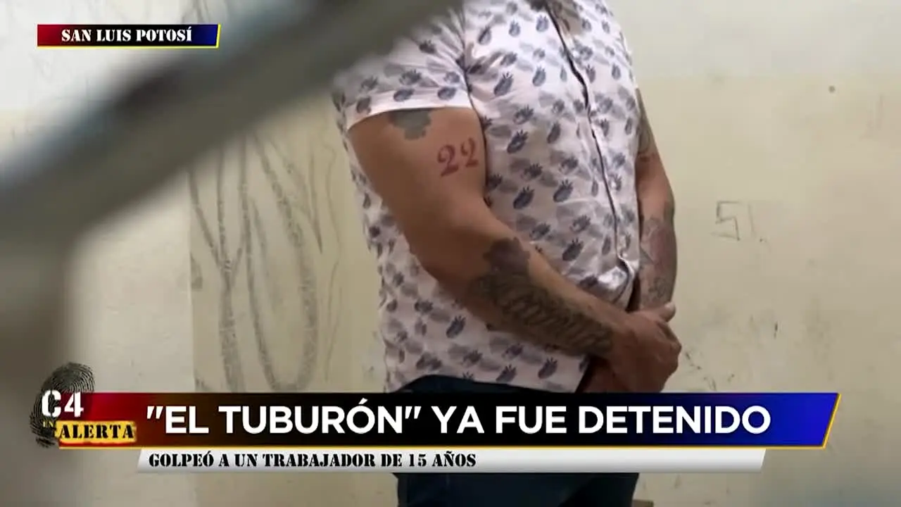 C4 en Alerta live