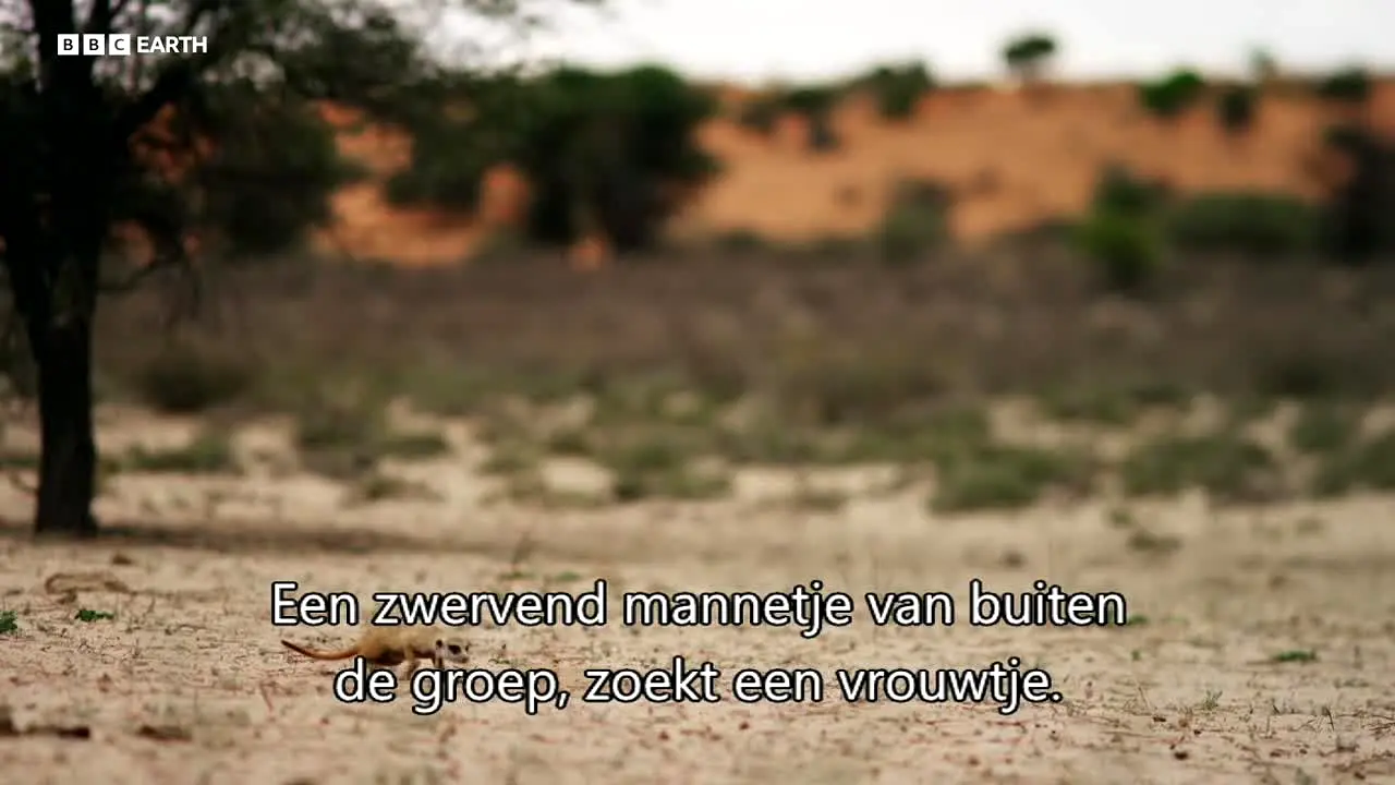 BBC Earth live