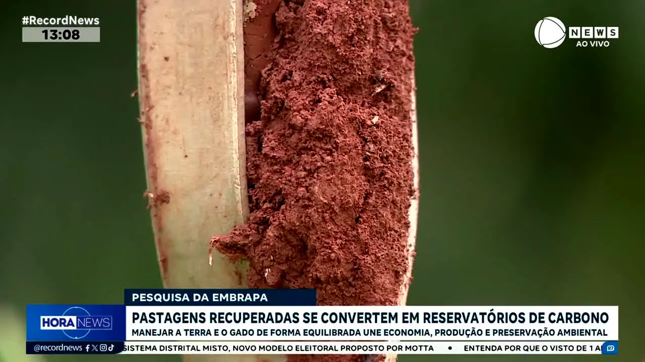 Record News ao vivo