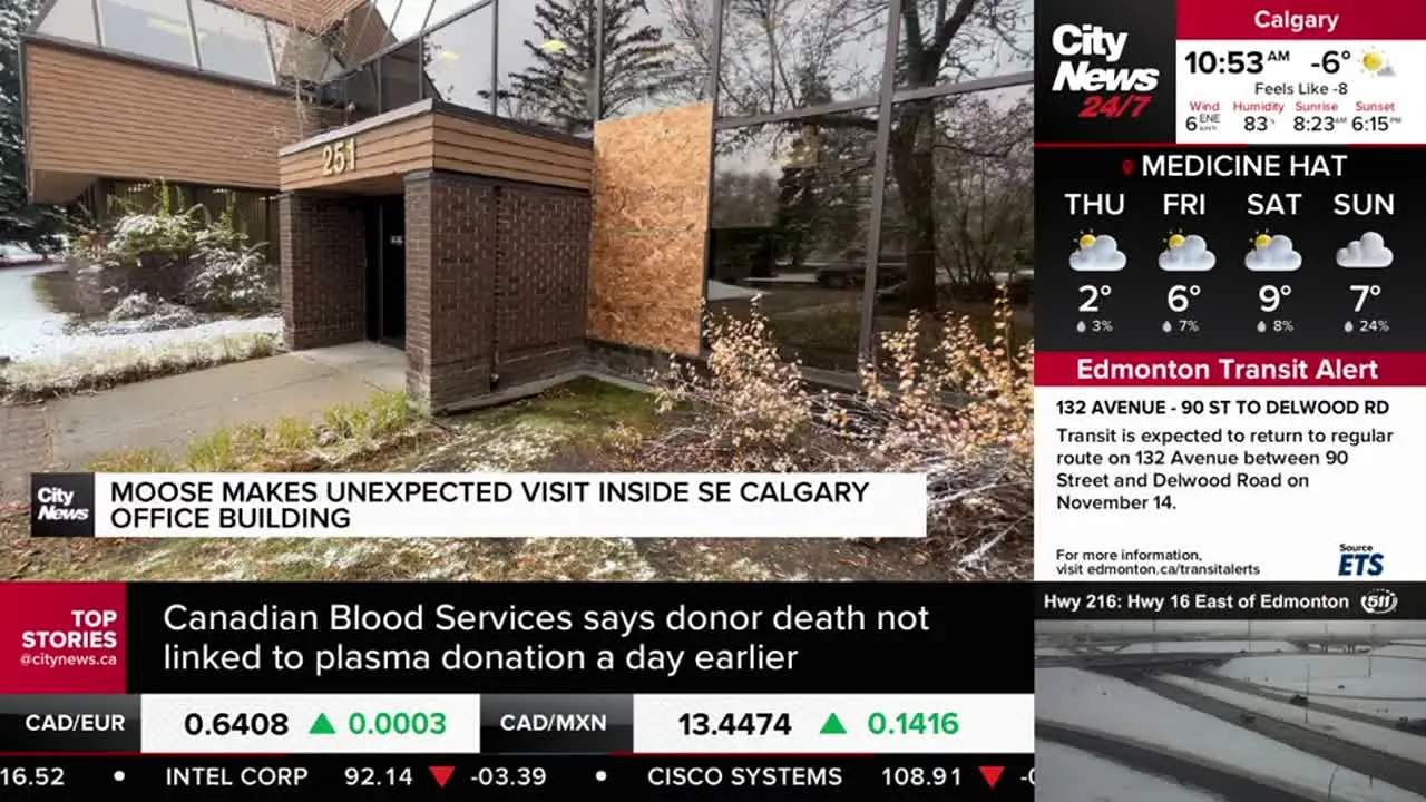CityNews Edmonton live