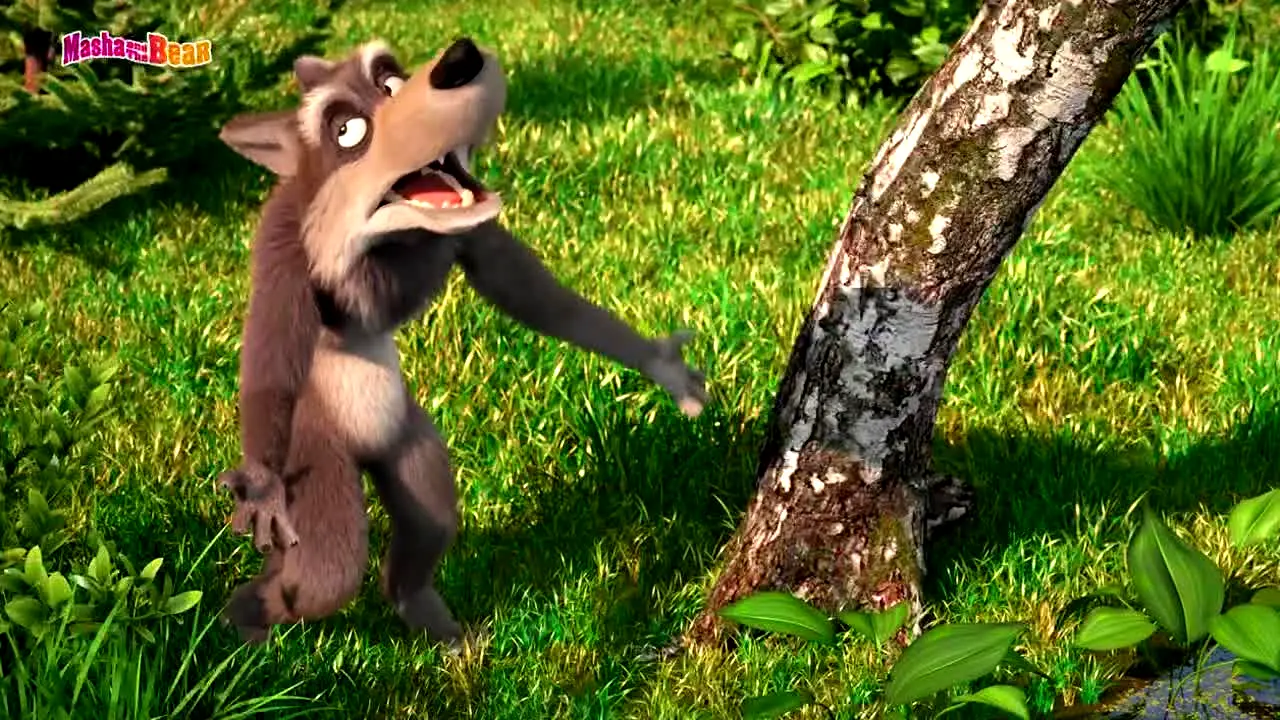 Masha & the Bear na żywo