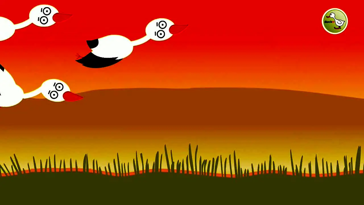ducktv live