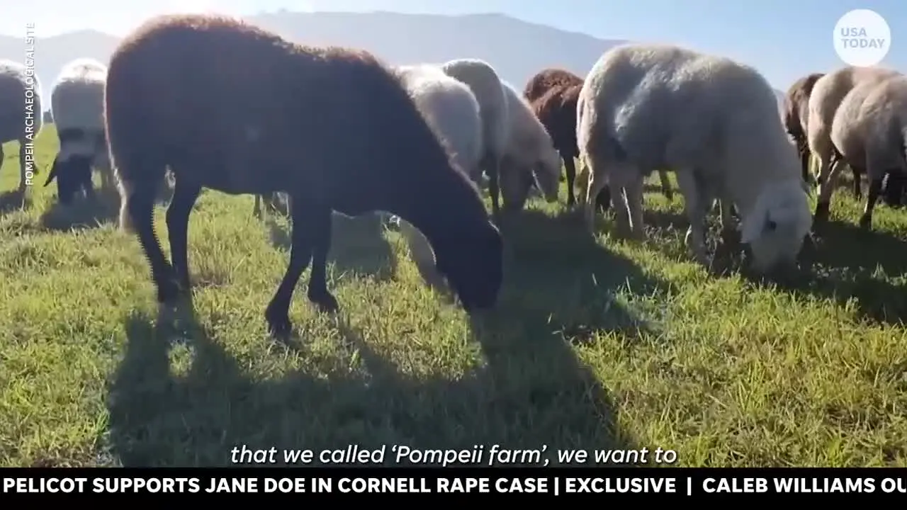 USA Today live