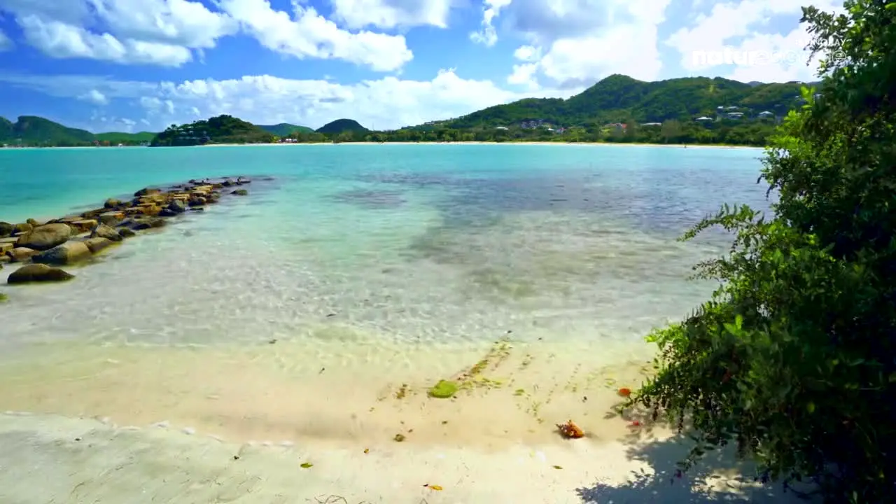 Stingray Naturescape in diretta