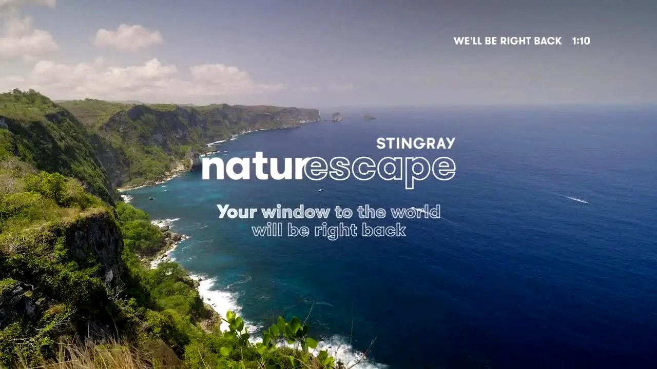Stingray Naturescape na żywo