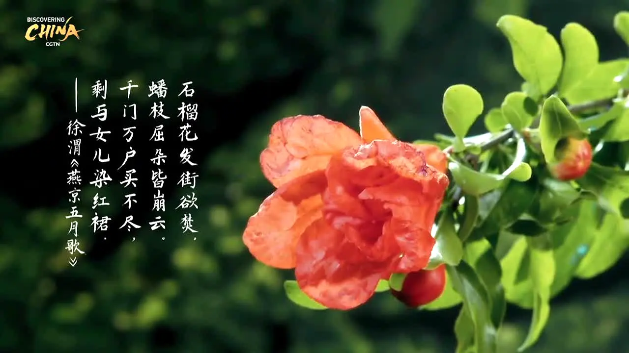 Discovering China en direct