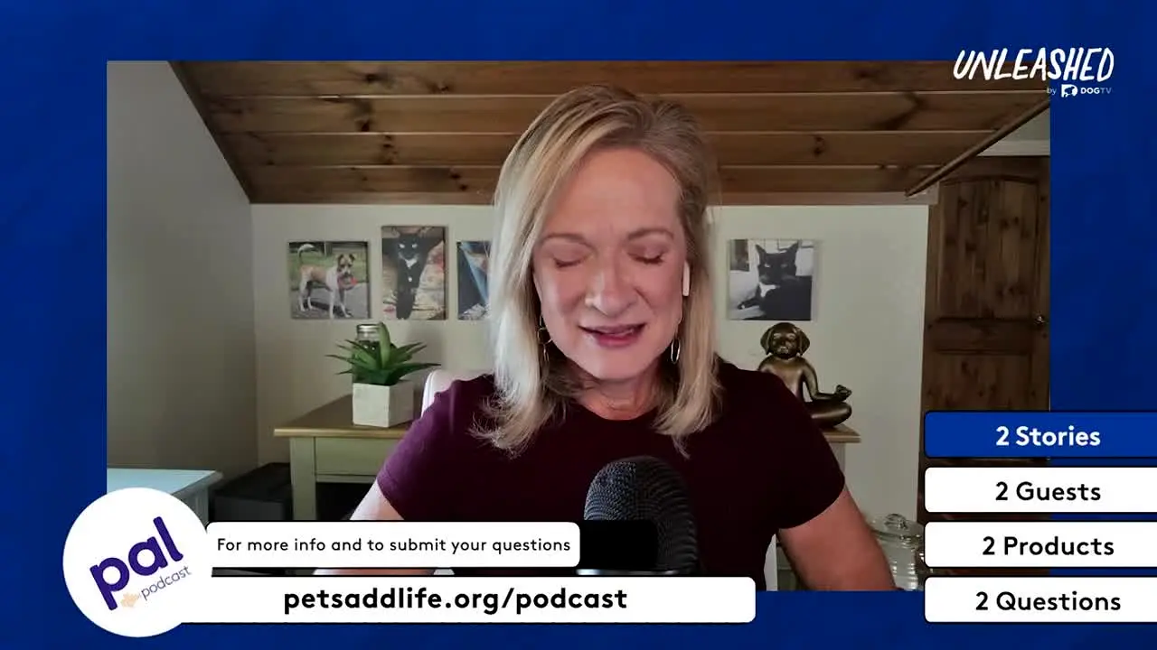 Unleashed by DOGTV live