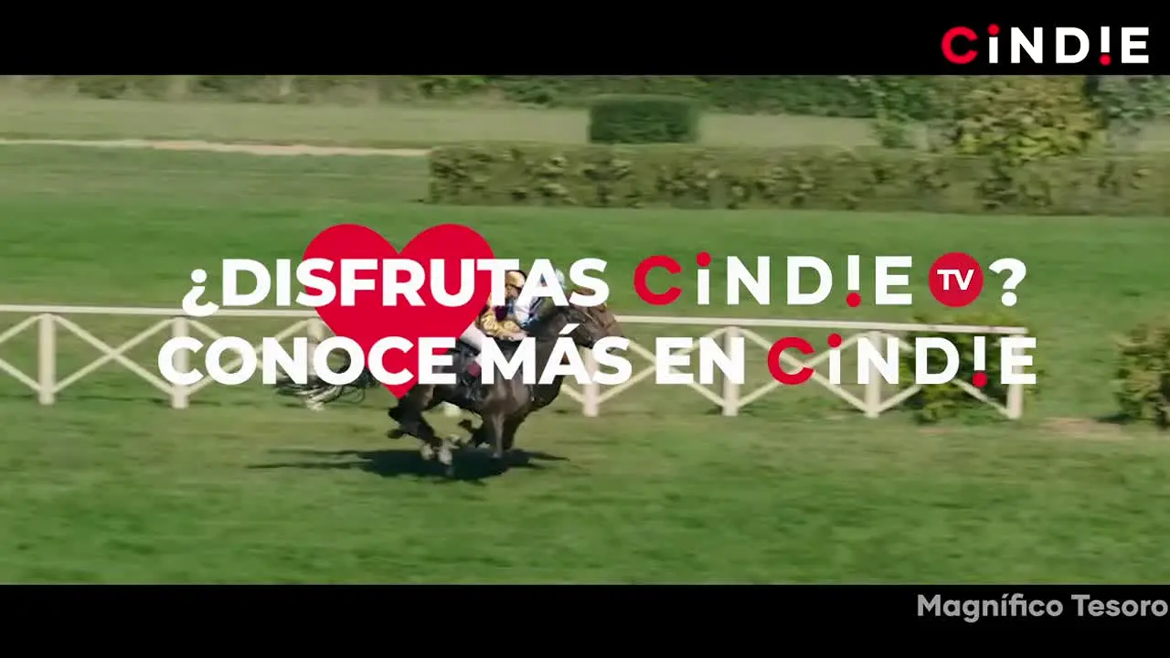 Cindie (Spanish) live