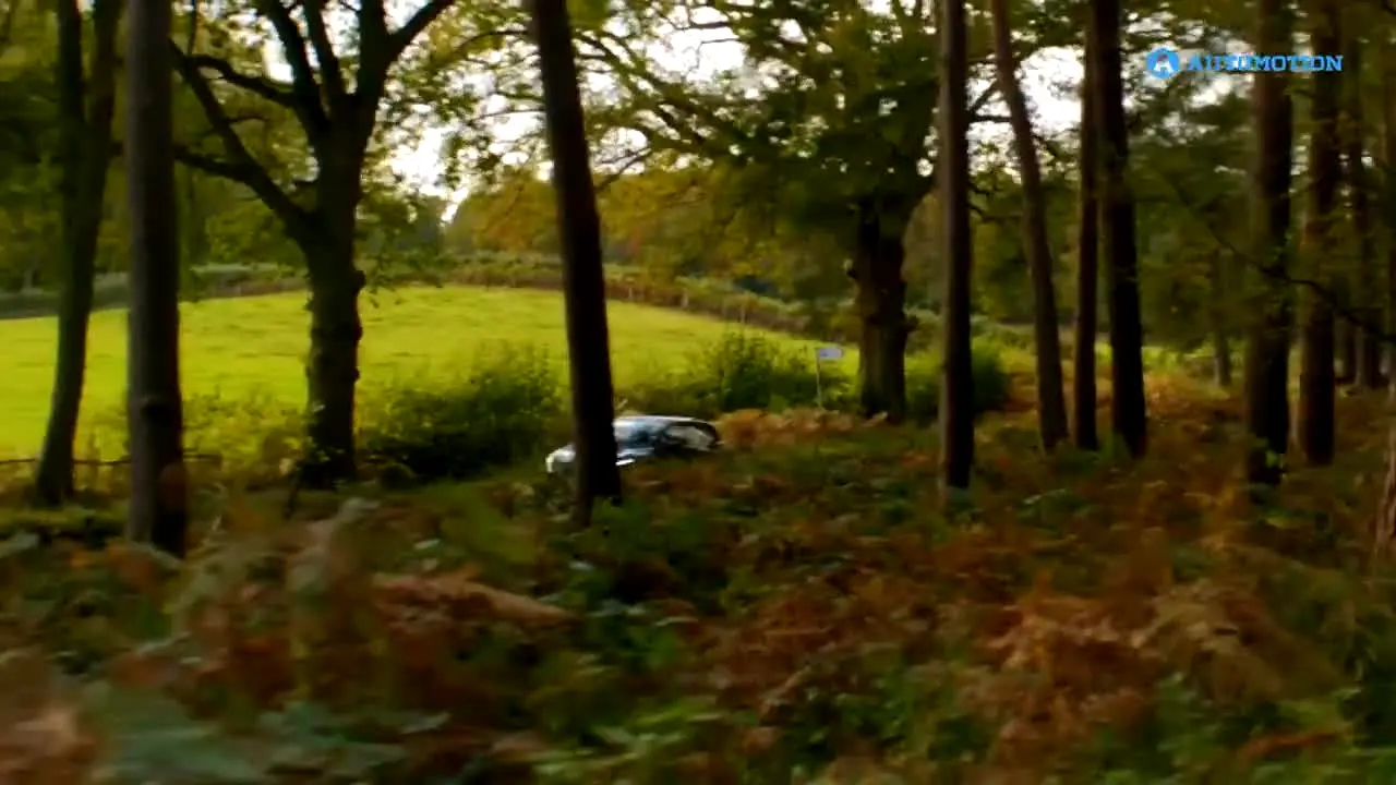 Automotion en vivo