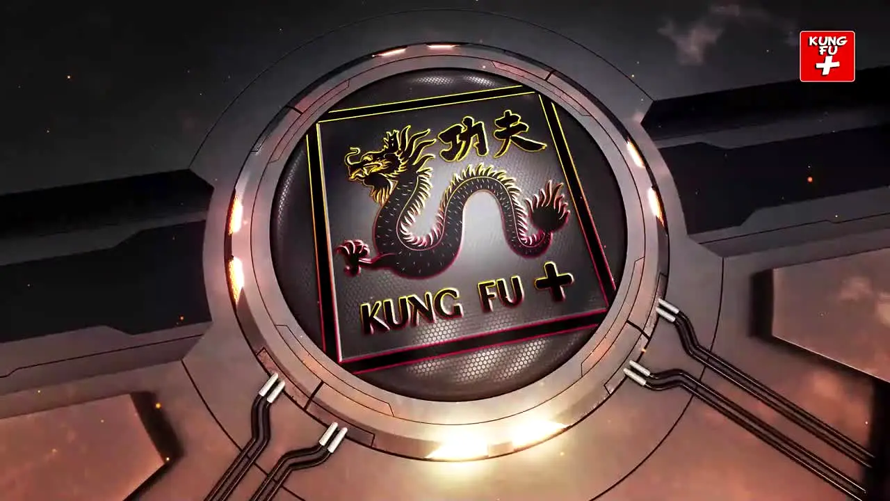 Kung Fu live