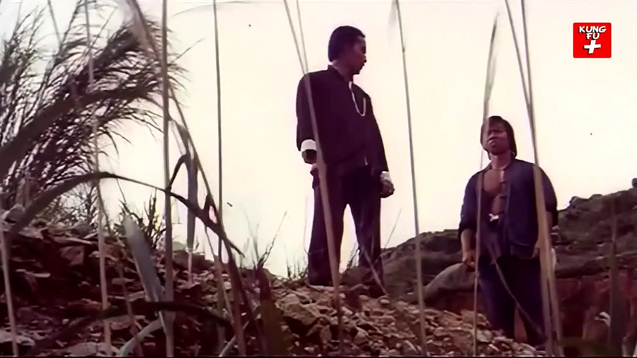 Kung Fu live