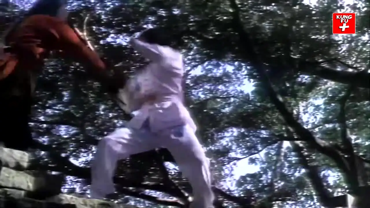 Kung Fu en vivo