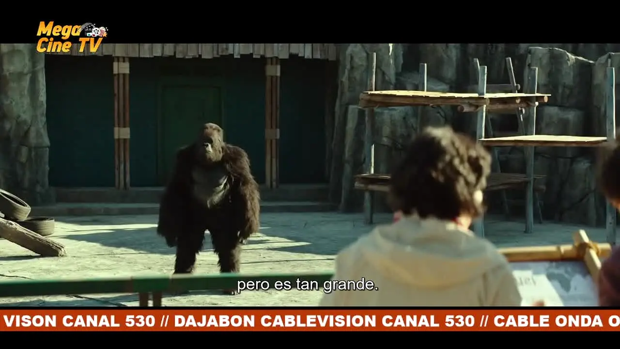 Mega Cine TV live