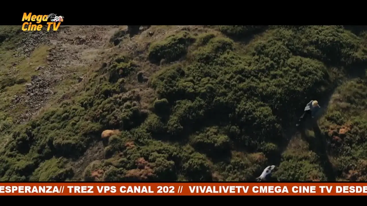 Mega Cine TV — прямой эфир