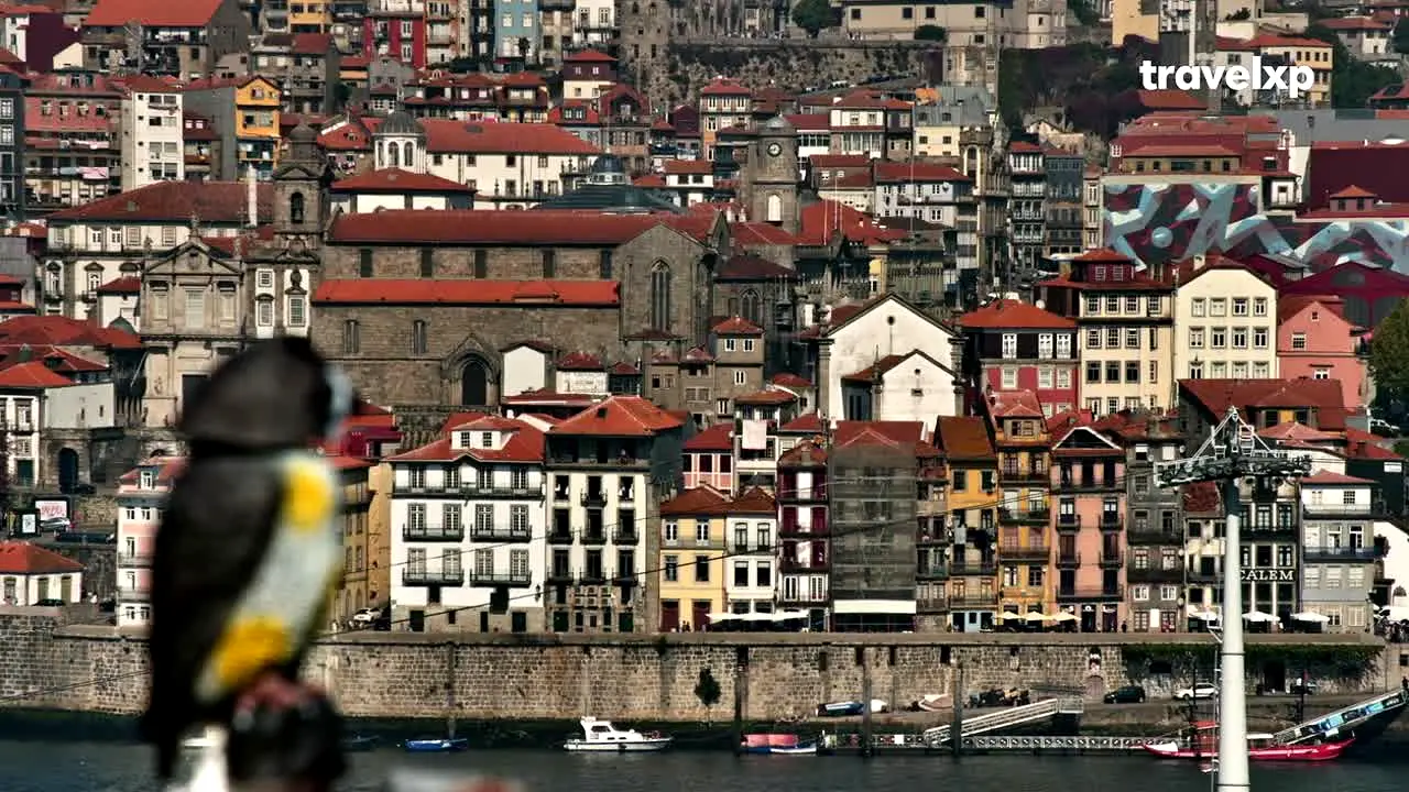 Travel XP in diretta
