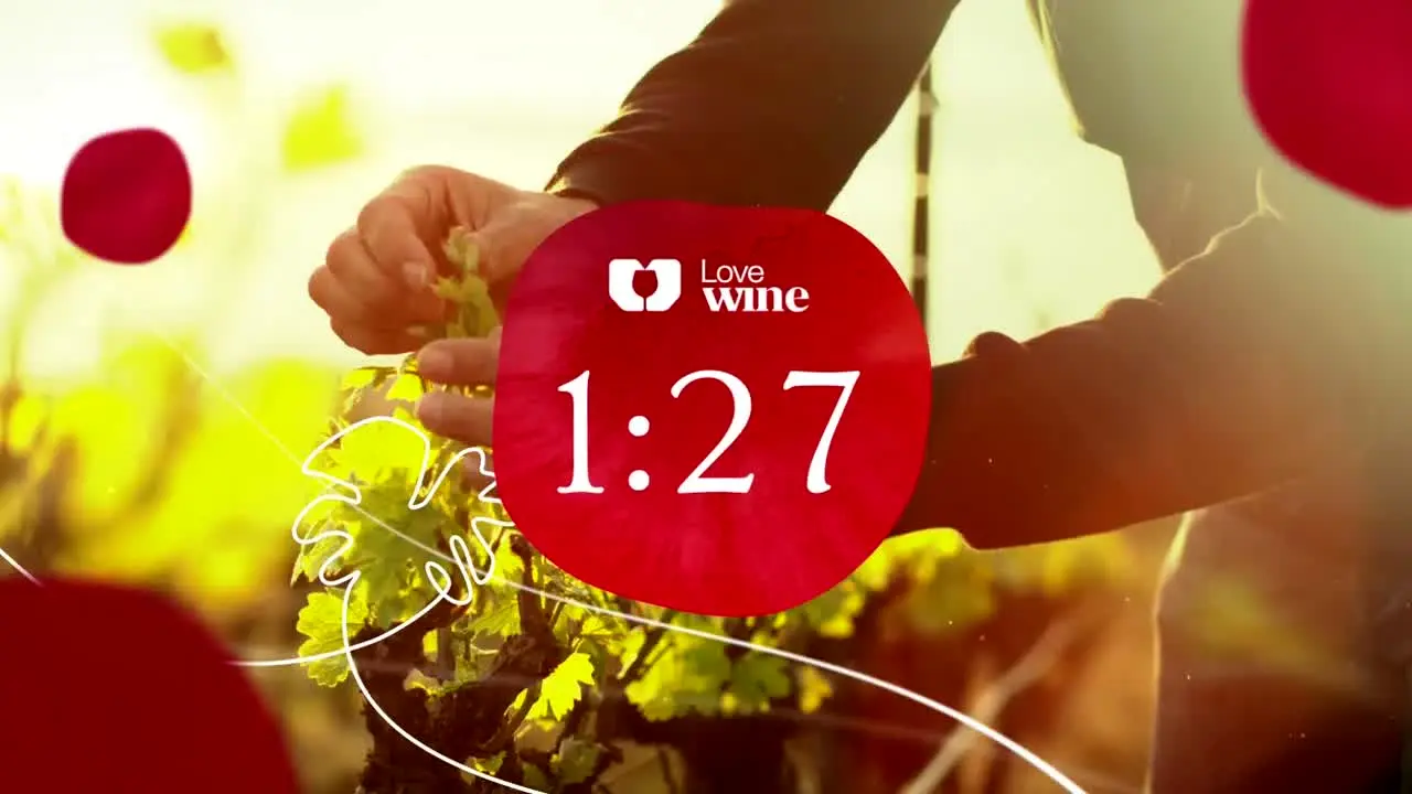 Love Wine in diretta