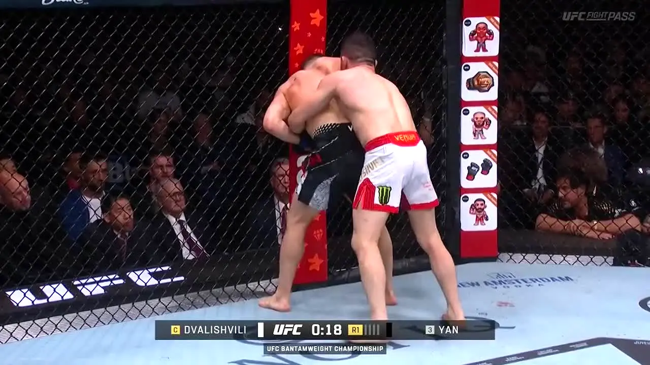 UFC live