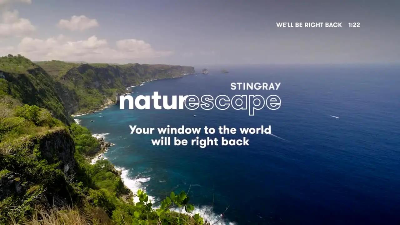 Stingray Naturescape live