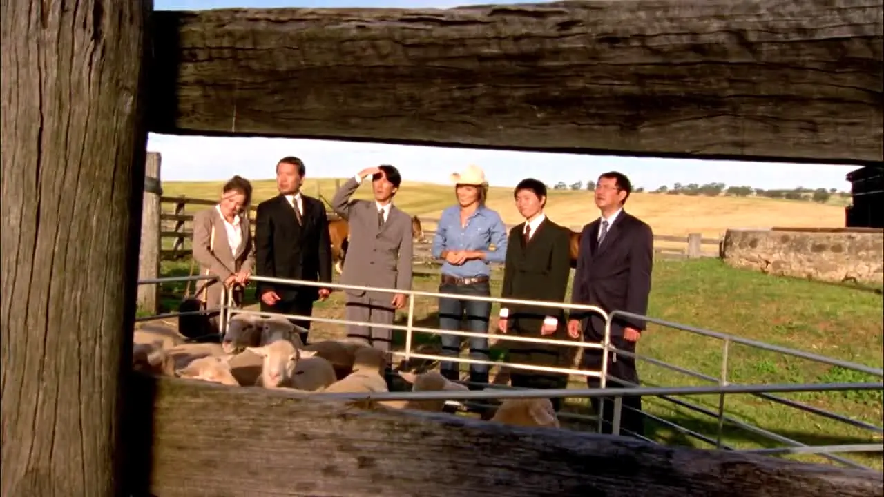 McLeod's Daughters in diretta