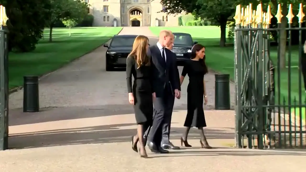 Royal World .MX na żywo