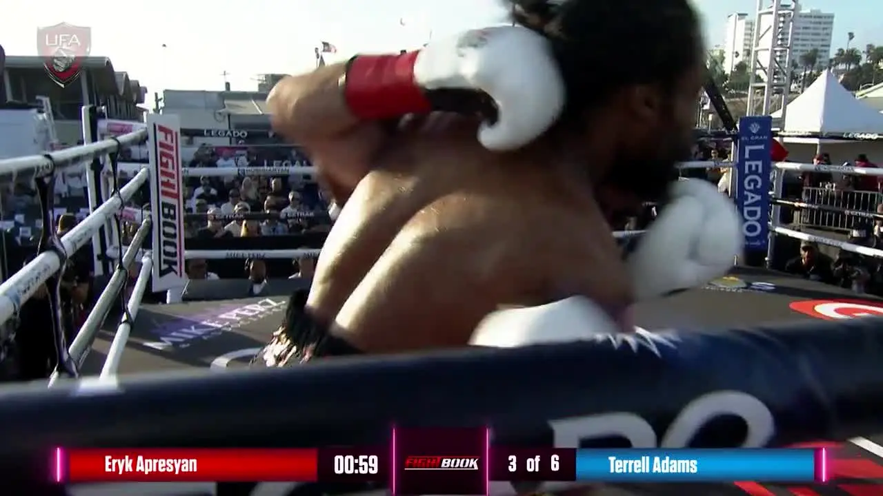 United Fight Alliance live