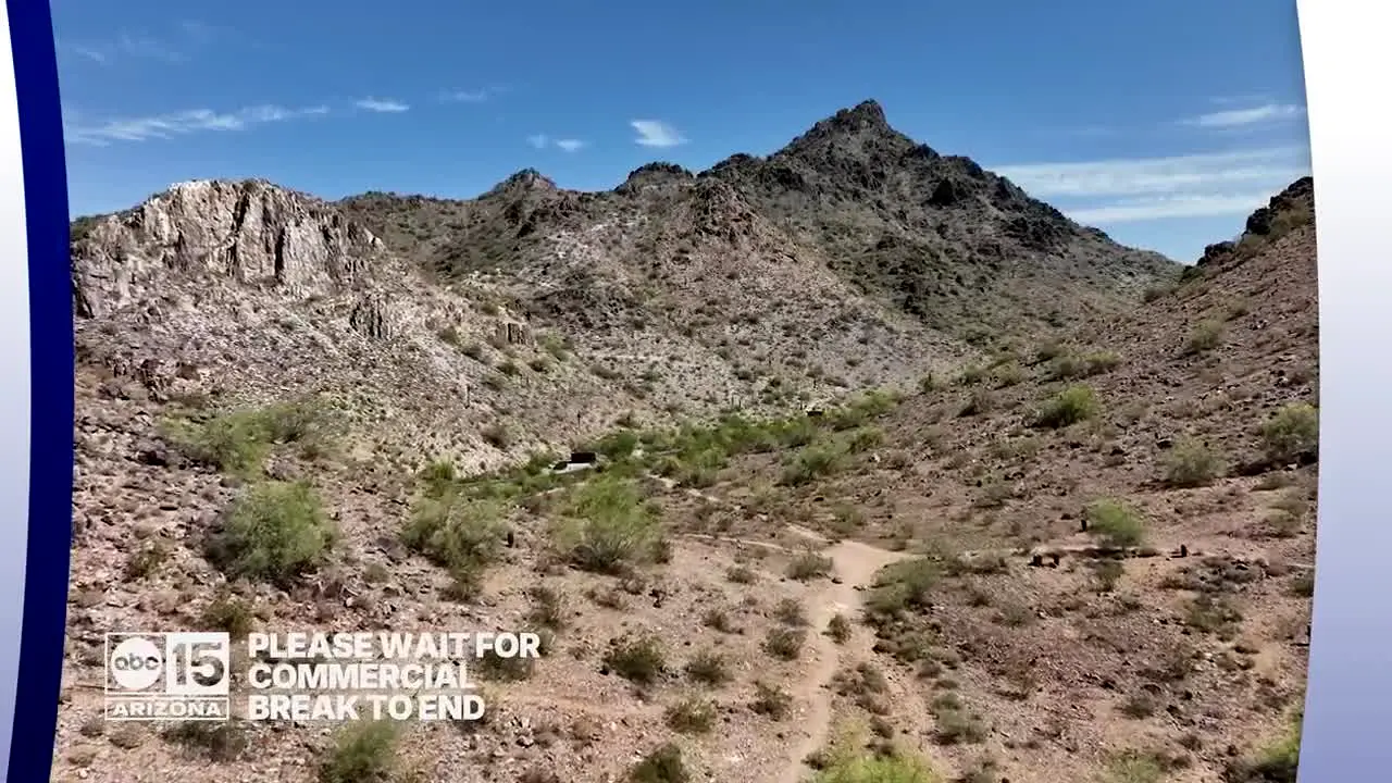 KNXV en vivo