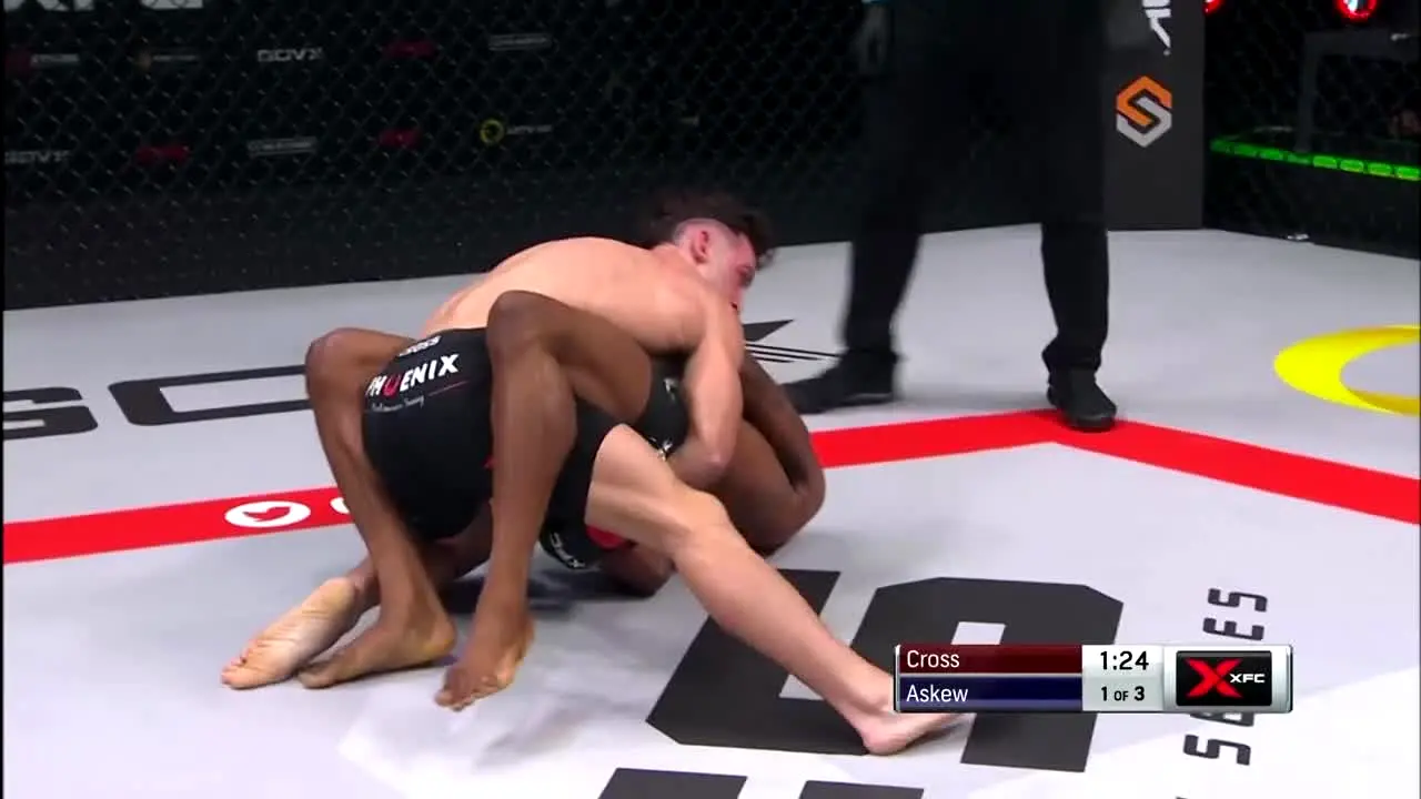 XFC TV na żywo
