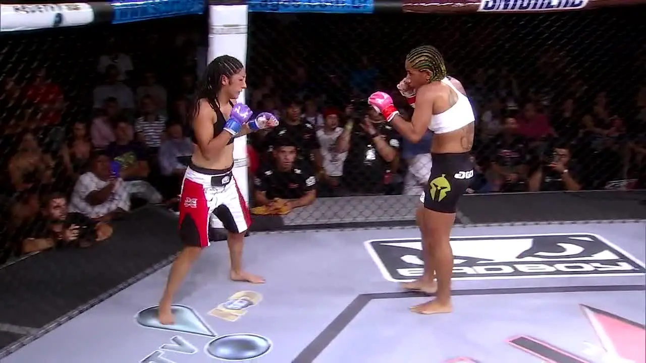 XFC TV en direct