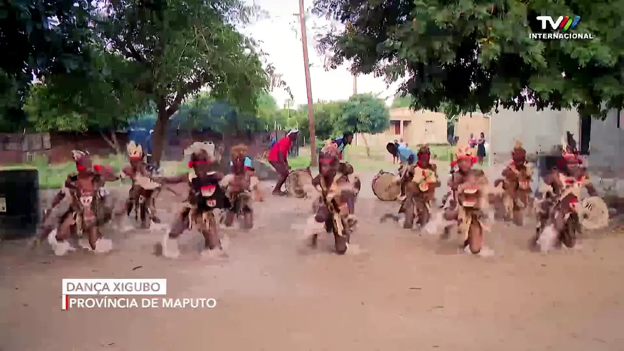 TVM Internacional ao vivo
