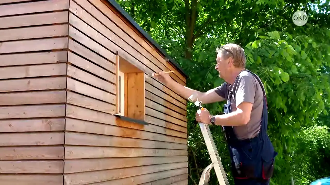 OK Dessau in diretta
