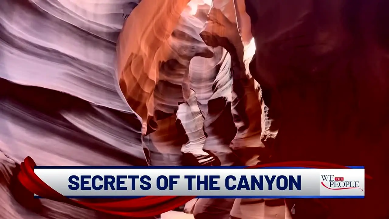 ABC7 Sarasota live