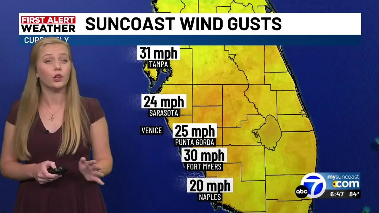 ABC7 Sarasota en vivo
