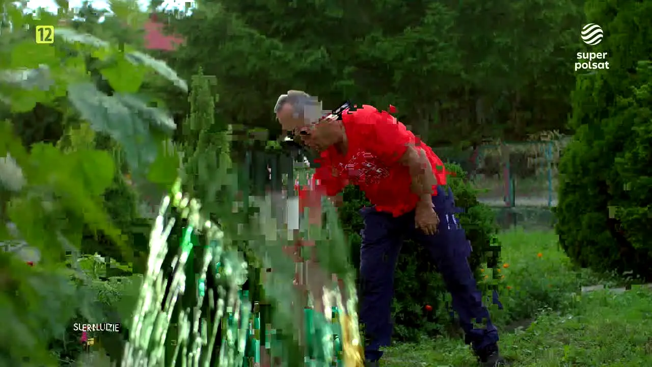 Super Polsat live