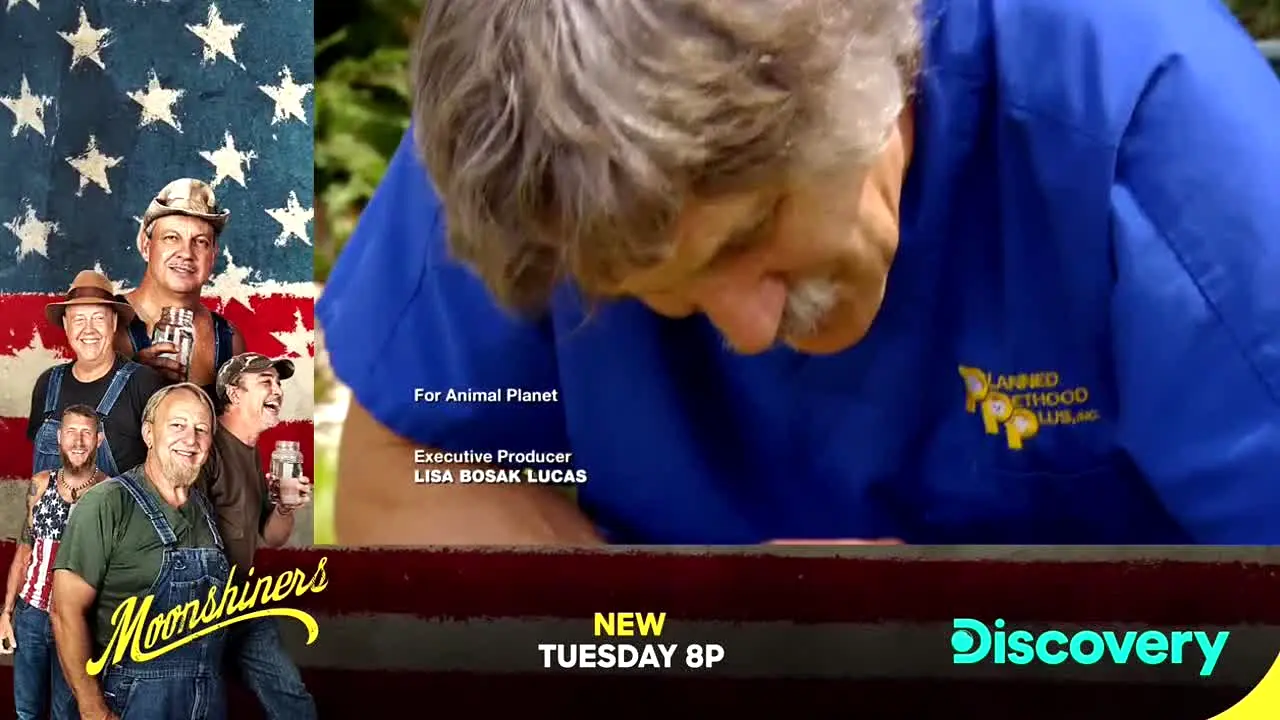 Animal Planet live