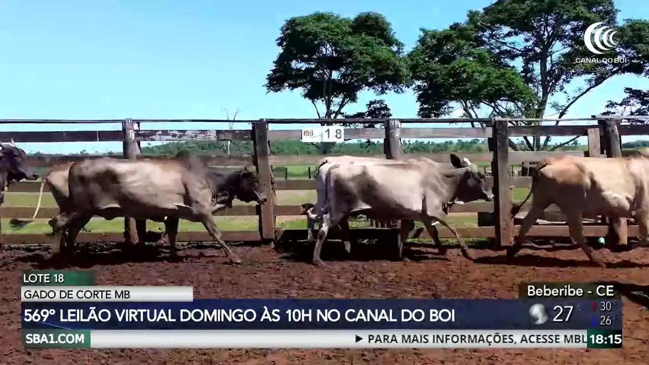 AgroCanal live