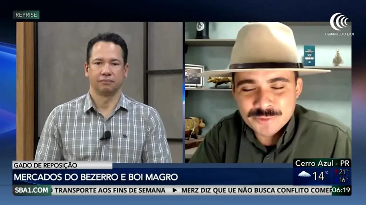 Canal do Boi live