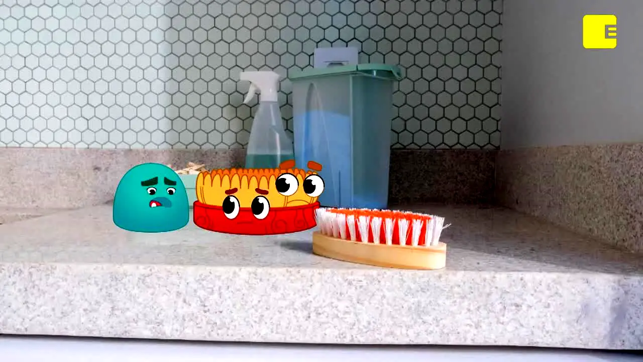 Canal Educação na żywo