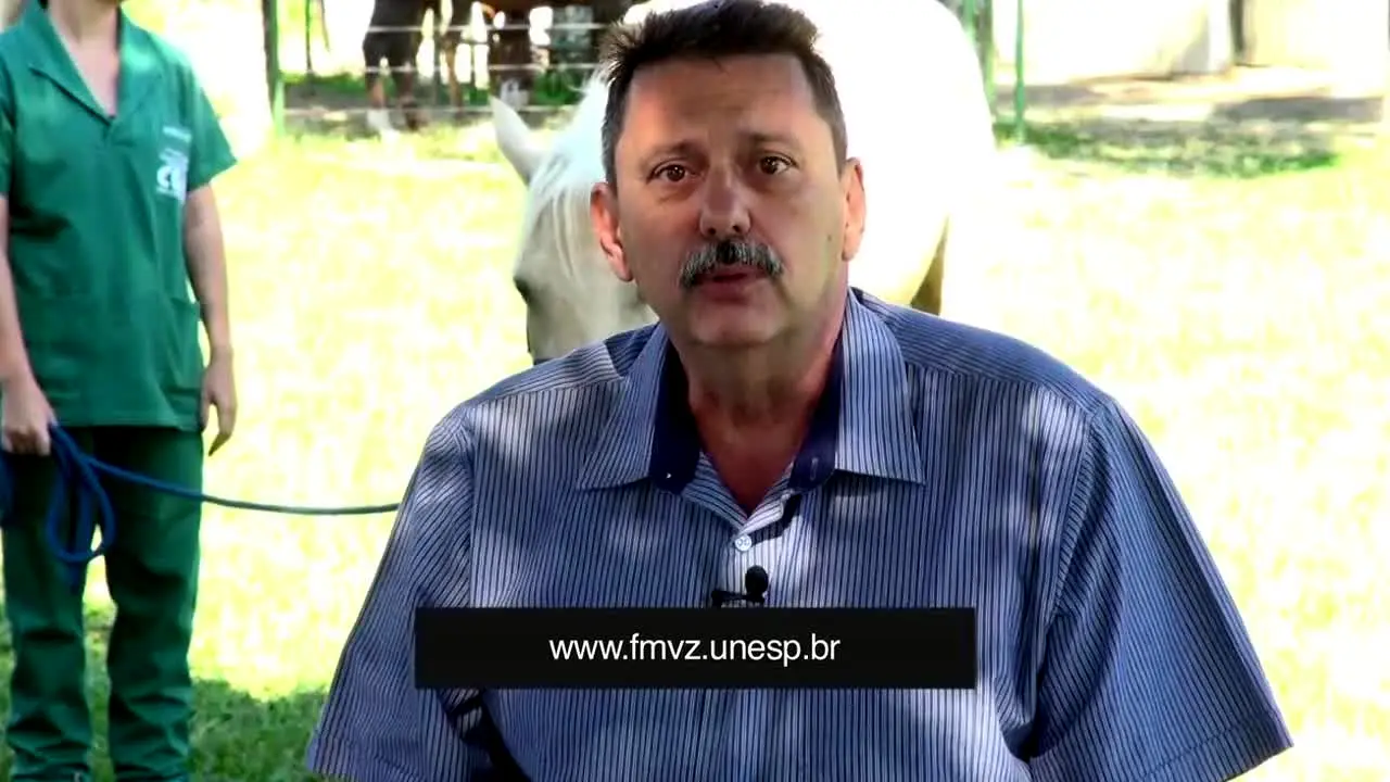 TV Aparecida en vivo