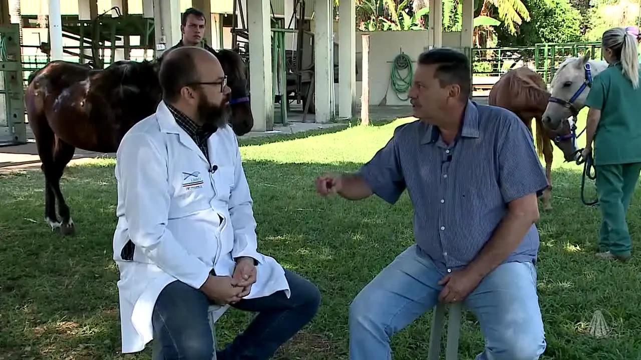 TV Aparecida ao vivo