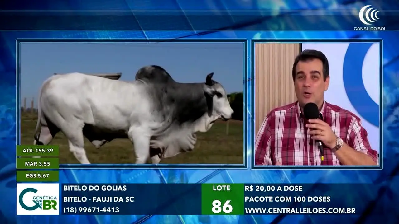 Canal do Boi ao vivo