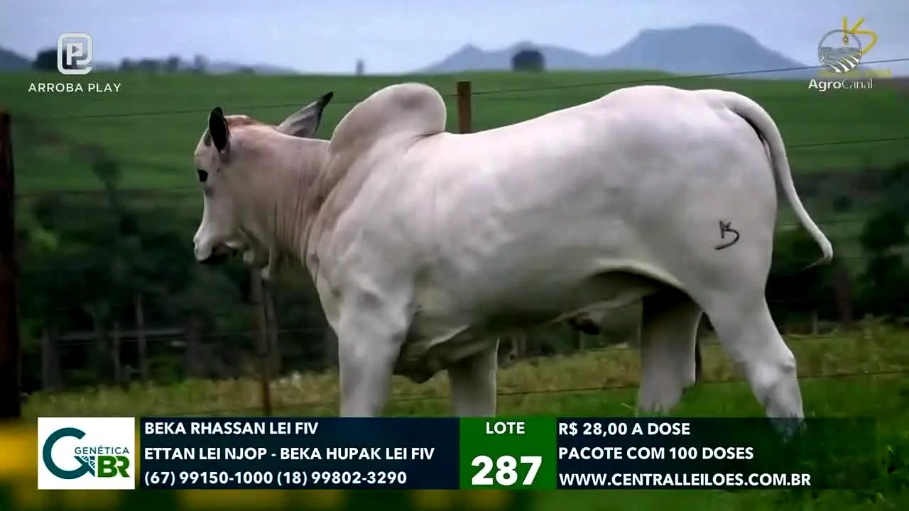 AgroCanal live