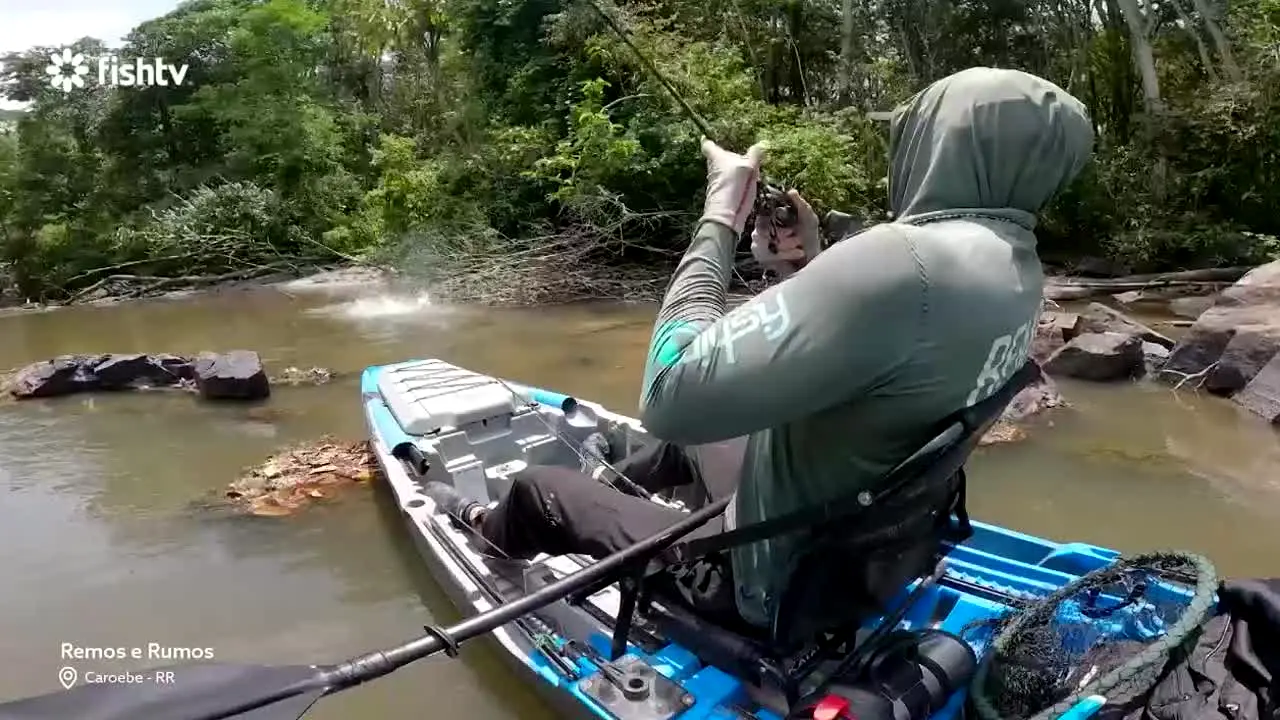 Fish TV live