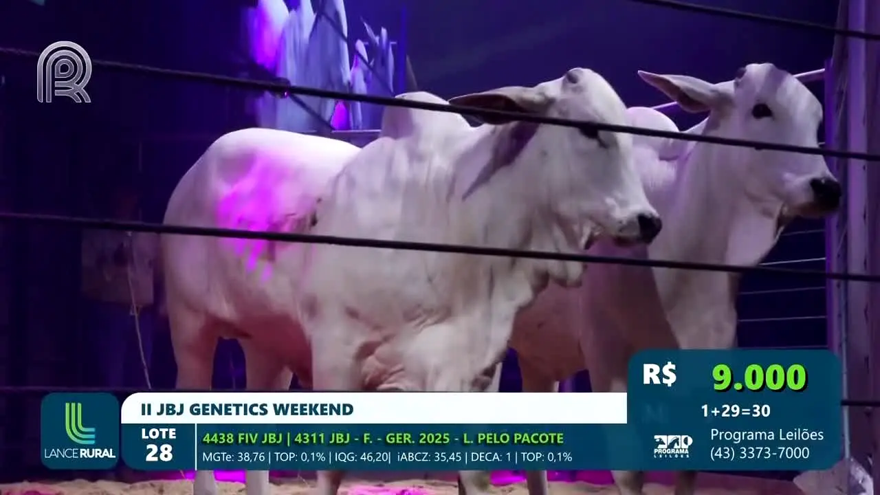 Canal Rural in diretta