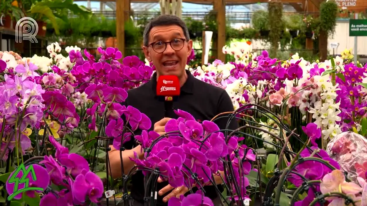 Canal Rural live