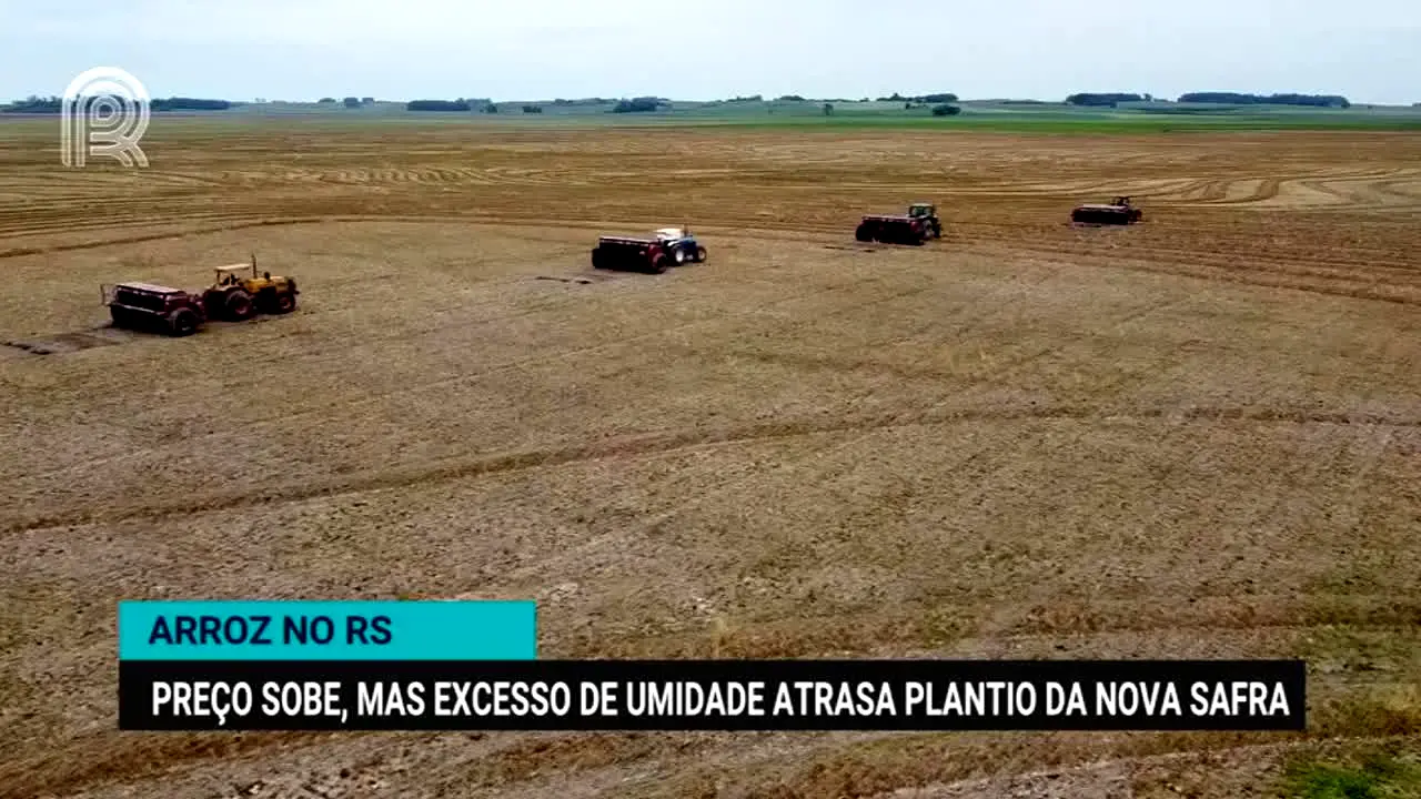 Canal Rural live
