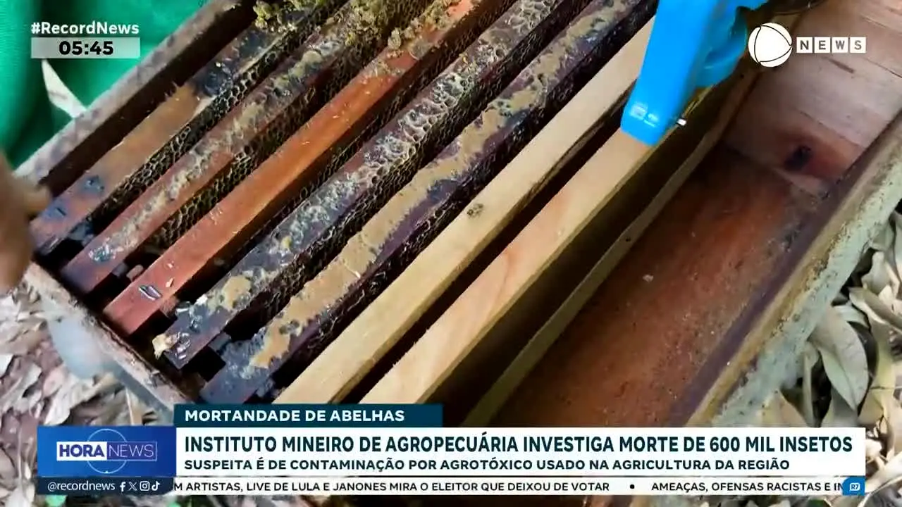 Record News na żywo