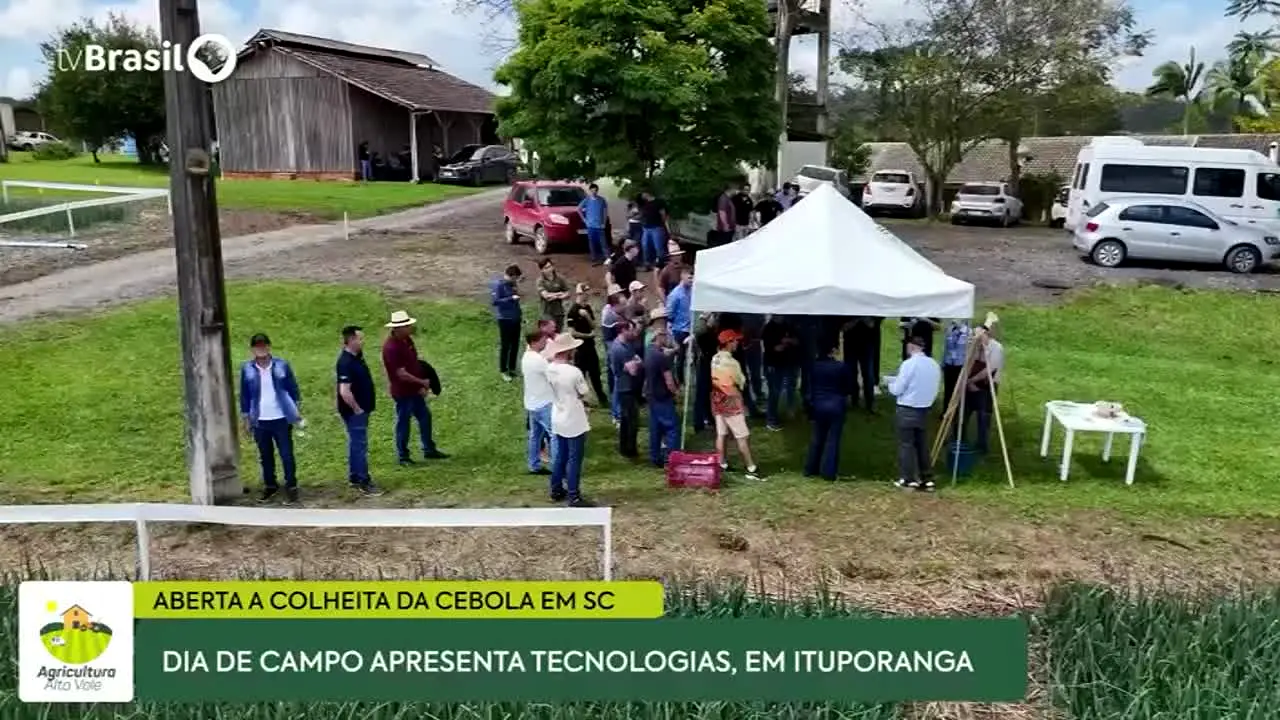 SESC TV en vivo