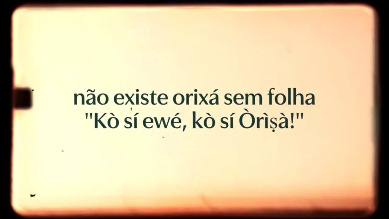 SESC TV na żywo